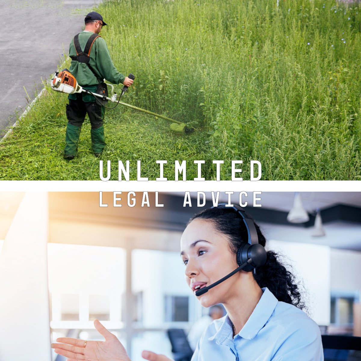 TGGTradeNetwork's tweet photo. We have just renewed our legal partnership for another year!

As the cost of living increases, you may need some legal advice to help maintain customer relations. TGG Members have unlimited access to our legal advice lines at no extra cost!

#hortlife #gardeners #horticulture https://t.co/7A9aIhasHR