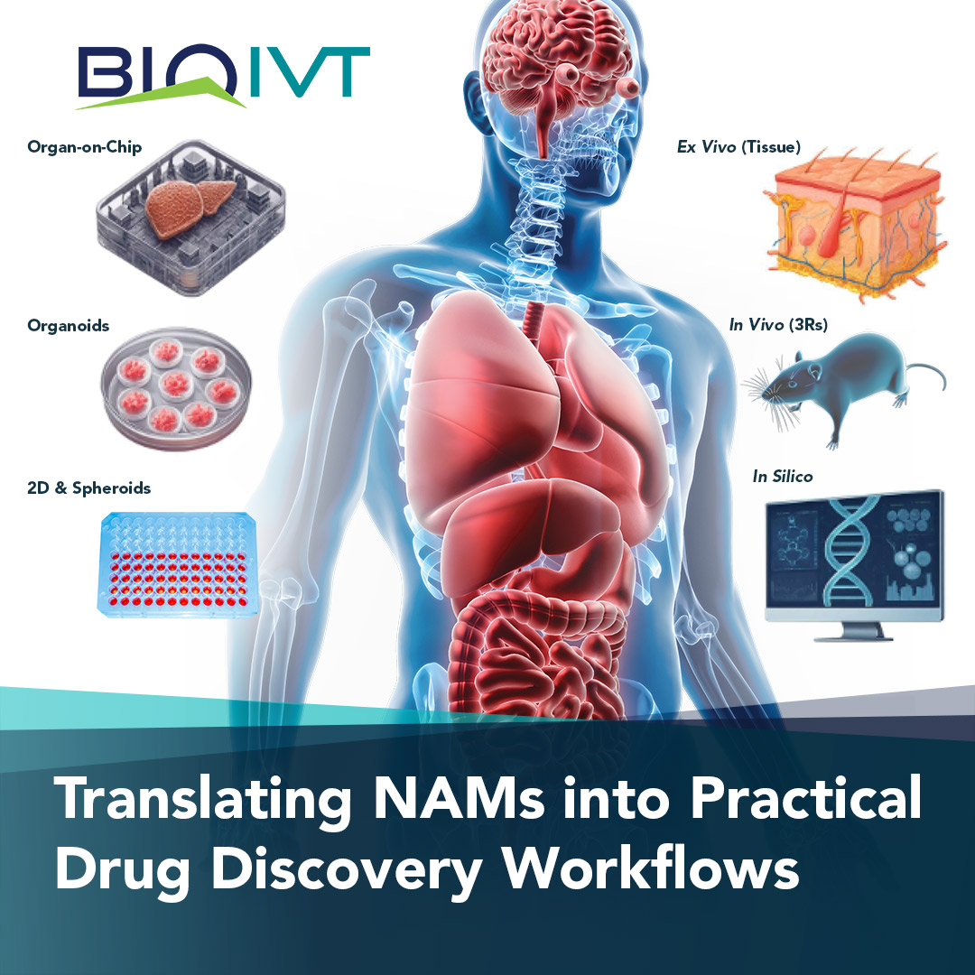 BioIVT's tweet photo. The success of #NAMs depends on the biological materials that serve as their starting materials. In our new blog, we discuss aligning experimental systems with the biology they are intended to represent and the decisions they are meant to inform–read now: https://t.co/zGWM2V2Nf1 https://t.co/EsbkQRY0Md