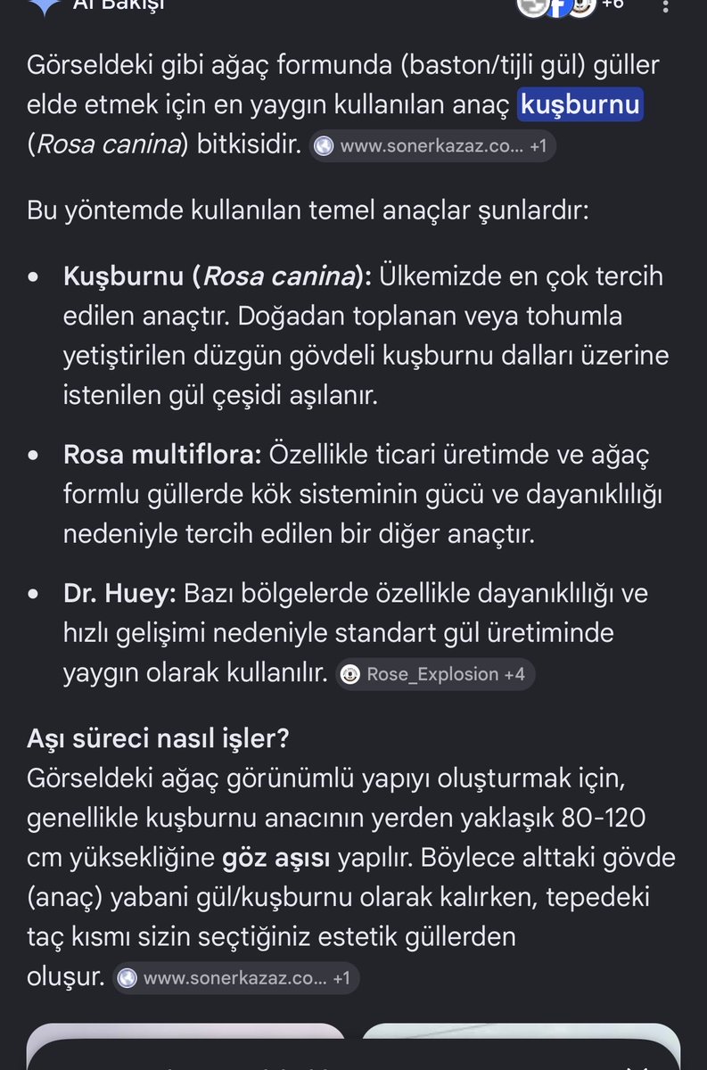 BORSAYATIRIM1's tweet photo. @lanuevababylon @Tarimmuhabiri https://t.co/EC5XRasIT4