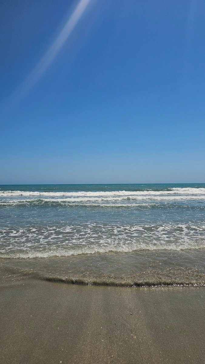 KristalAlfonso's tweet photo. Sorry @MandyConnell and @AnthonyRod33...there will be no Wine Yogi at the suite baseball game. I am busy conducting dolphin patrol and avoiding Colorado's current weather. #currentview #currentmood https://t.co/1YhwW56PNM