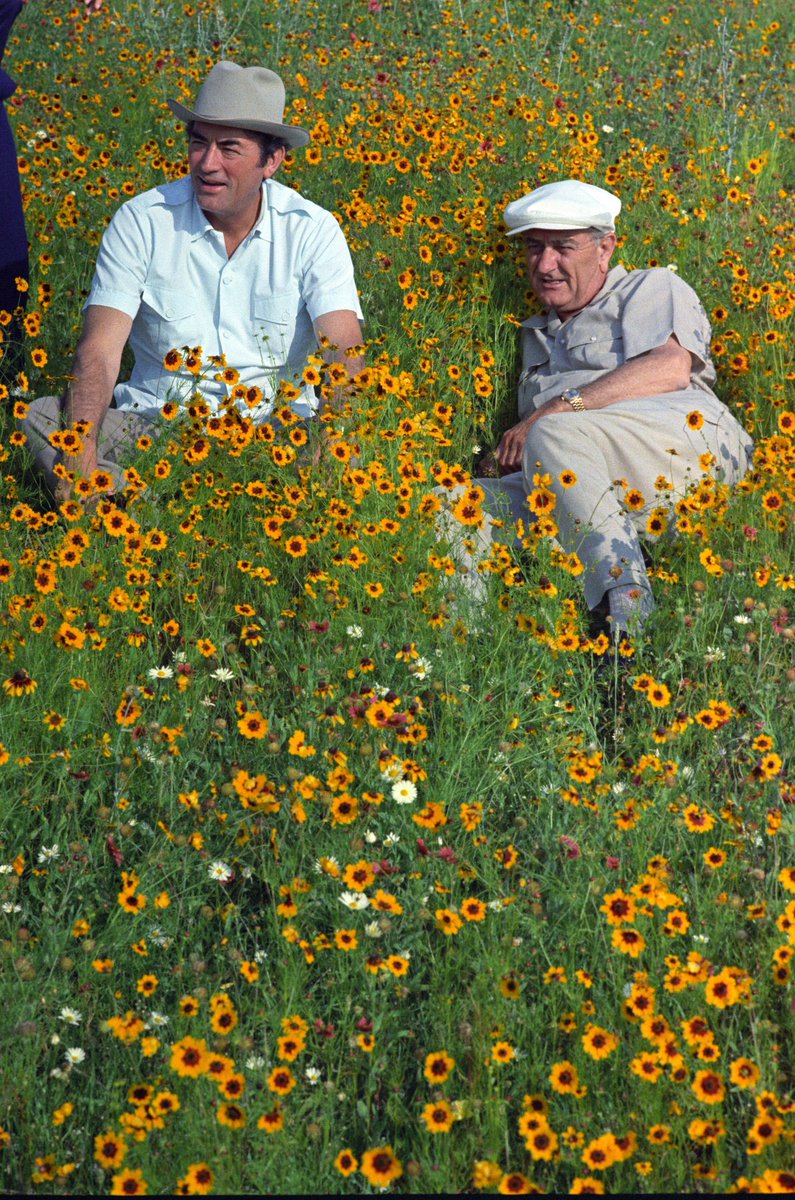 LBJLibrary's tweet photo. #OnThisDay: Fifty-eight years ago, actor #GregoryPeck and #PresidentJohnson took a break to relax in the wildflowers at the #LBJRanch. 🤠🌻

📷 Mike Geissinger | 05/31/1968 https://t.co/eVBoBEvFuy