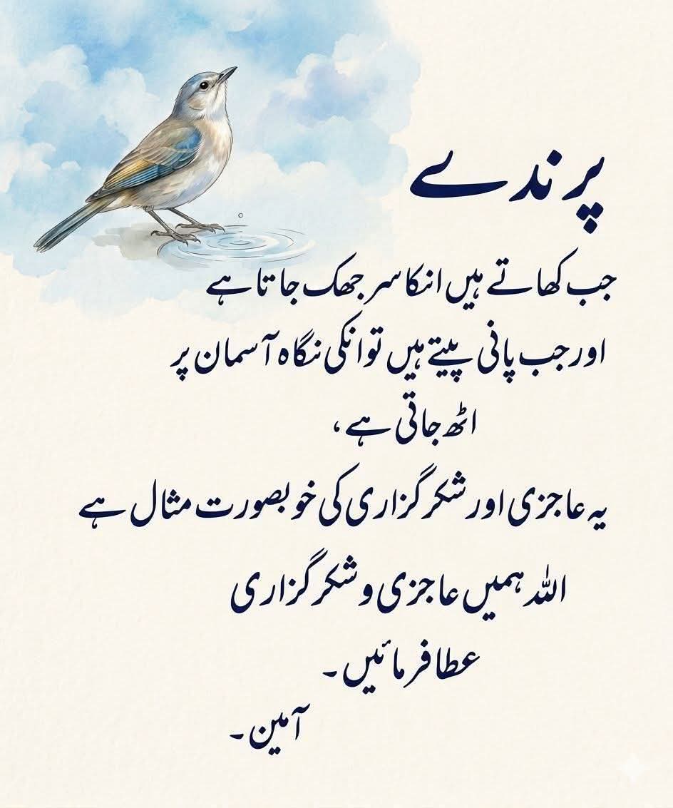 MalikaGuria's tweet photo. Alhumdulila 😊 🙏🏻 https://t.co/1FaCKiMZH2