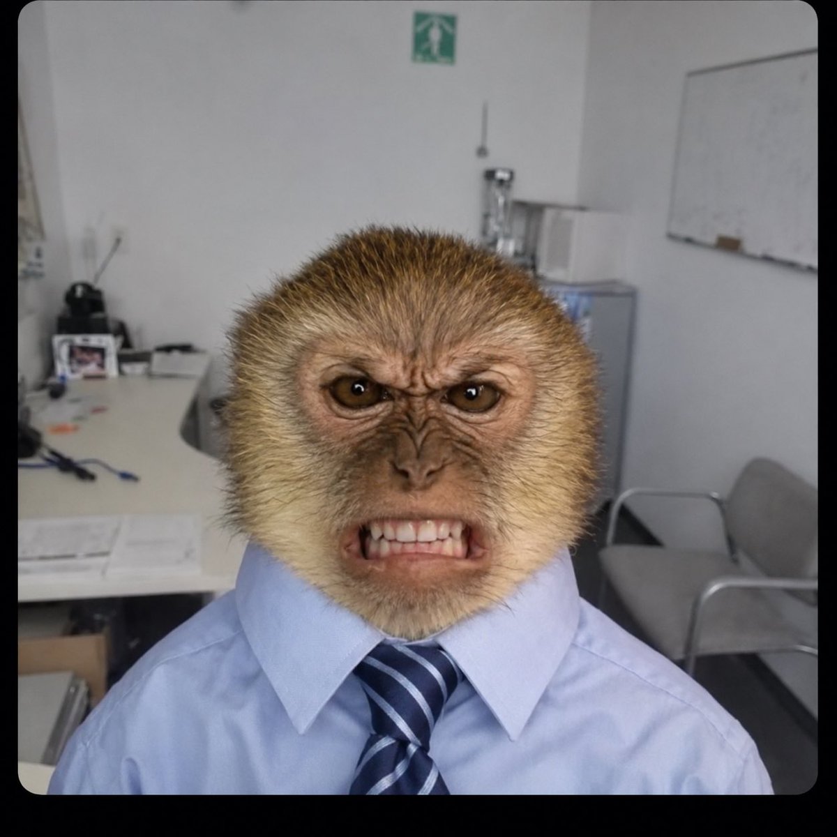 Lethivant's tweet photo. @0hour1 “Nobody fucks with Larold!” https://t.co/0uXtyUM0Hh