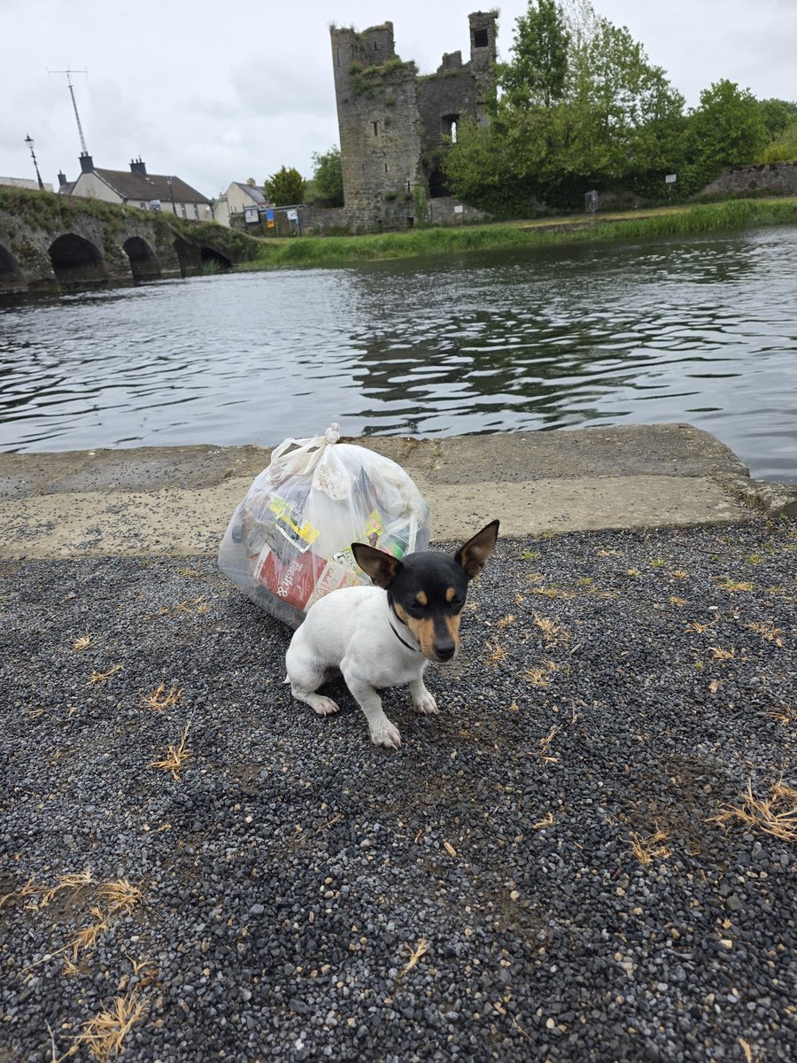 roriain's tweet photo. A short stroll and #litter pick on the river before the rain. Rathvinden lock to Leighlinbridge. Pellitory-of-the-wall, yarrow &amp;field madder. #LeaveNoTrace #lovewhereyoulive #pawsonplastic https://t.co/hABHEdsPre