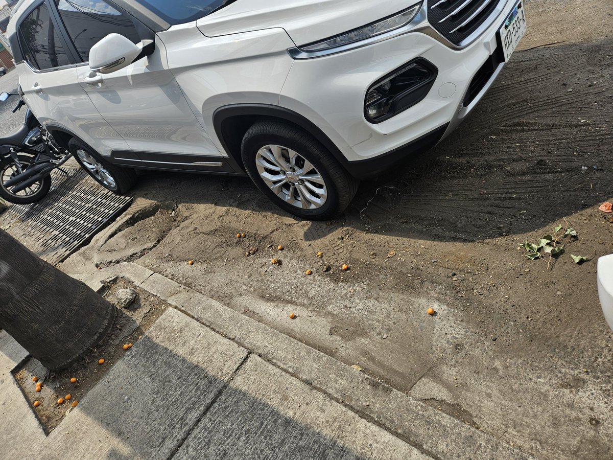 Ruth_fran's tweet photo. @siapagdl Hace un mes en la esquina de Calzada del águila y Constituyentes, desasolvaron esta alcantarilla y sacaron 4 carretillas de tierra. El dia de hoy está así,sólo tierra regada en el pavimento. Seguramente  tendrán que desasolvar otra vez. @wradiogdl @GuadalajaraGob https://t.co/fAv7UQPqfn