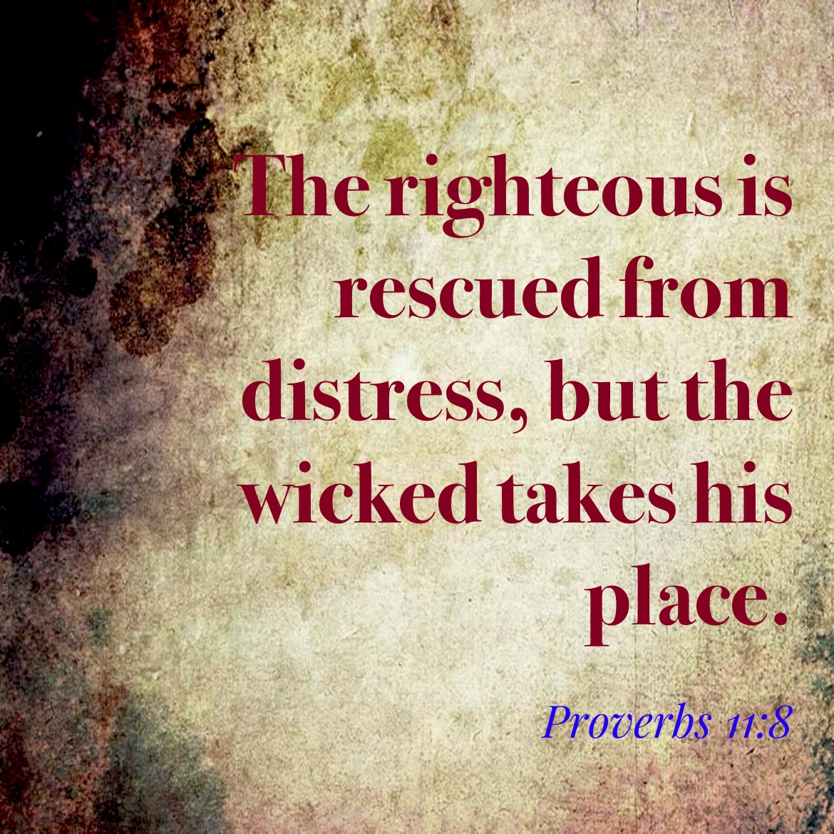 cleansocks's tweet photo. 🔄 #Bible #Proverbs https://t.co/diXcLq3y2l