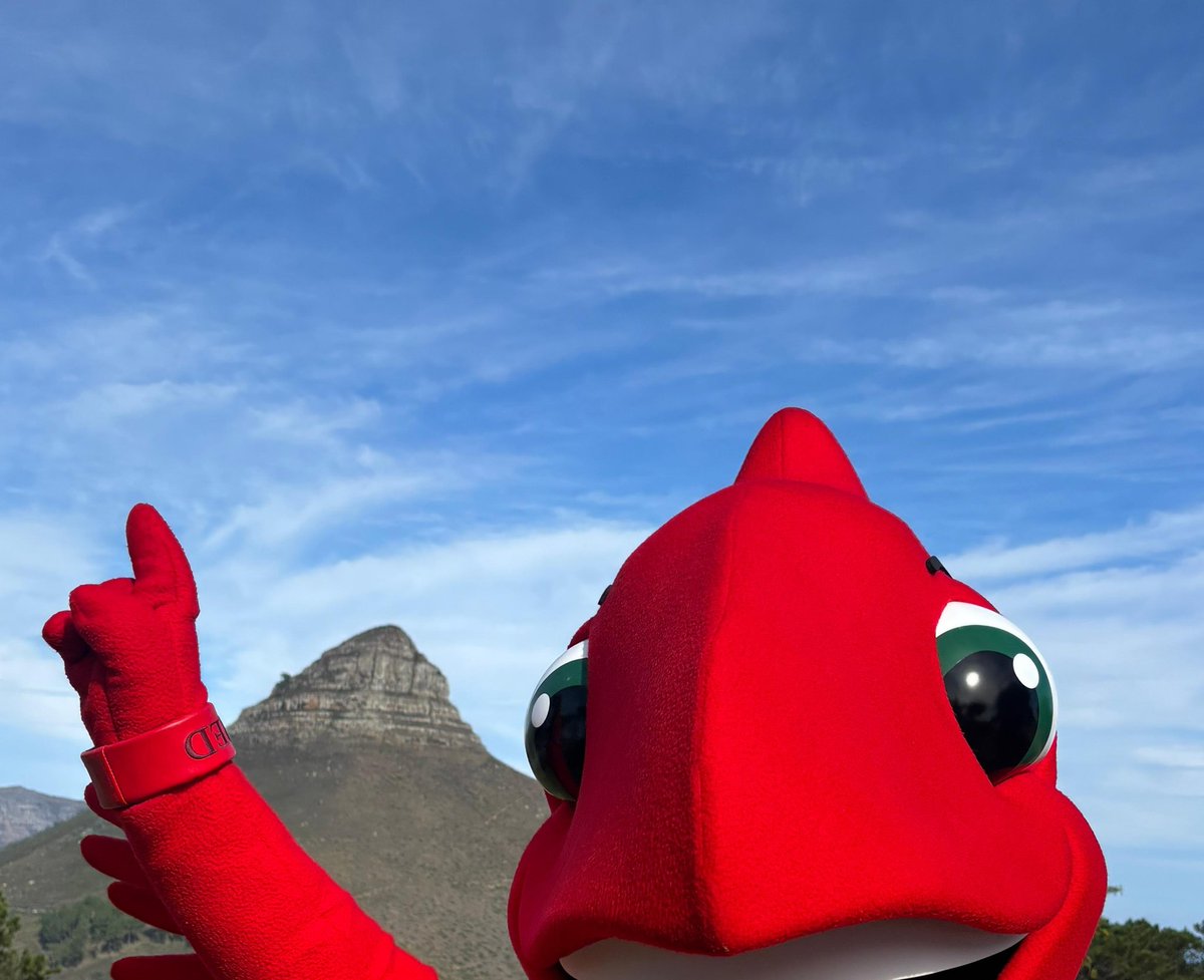 Mighty Red tweet media