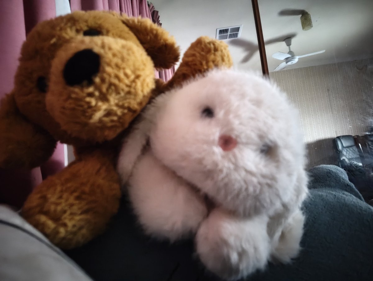 angelbun ૮ ˶ᵔ ᵕ ᵔ˶ ა Θ∆ 🏳️⚧️ tweet media