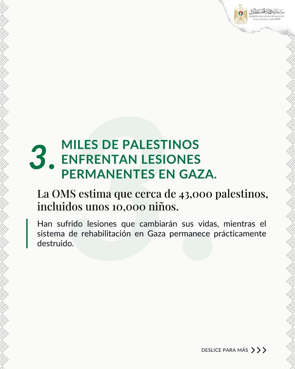 Embajada del Estado de Palestina en México tweet media