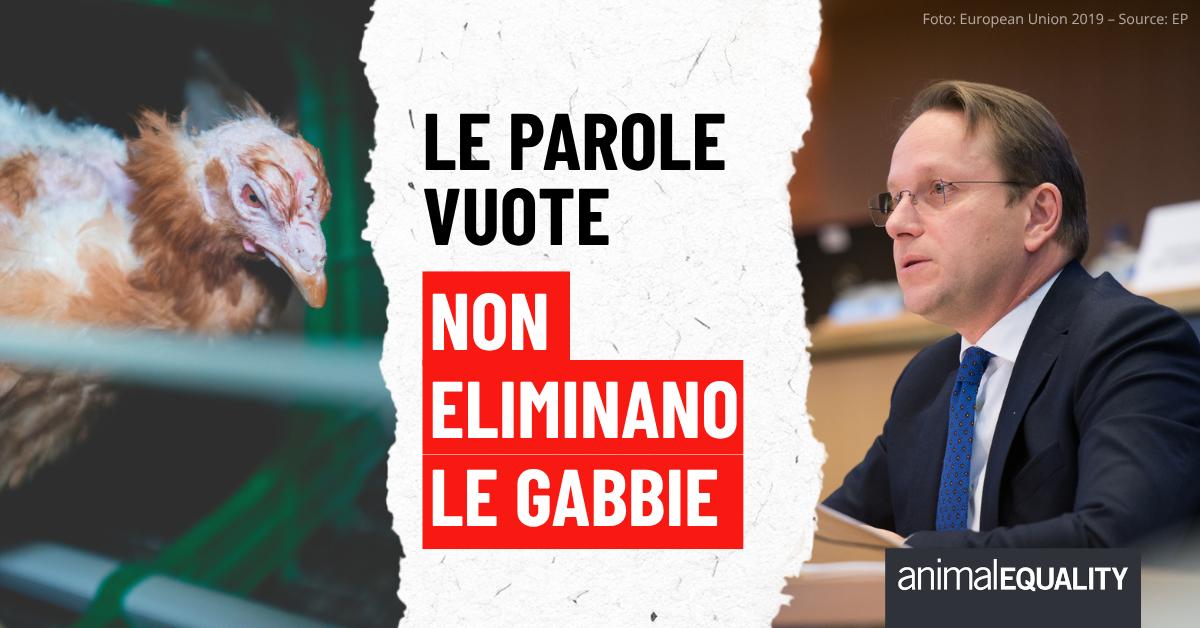 AE_Italia's tweet photo. LE PAROLE VUOTE NON APRONO LE GABBIE

Nel 2021 l’Unione Europea aveva promesso nuove leggi sul benessere animale, incluso il divieto delle gabbie.

Cinque anni dopo, non è stato ancora fatto nulla.

Ora il Commissario europeo per il benessere animale Olivér Várhelyi* dichiara che “l’Europa PUÒ e DEVE superare le gabbie”.

Sembra la direzione giusta. Finché non ascolti il resto.

Perché subito dopo arrivano le condizioni:
“realistica”
“bilanciata”
“attentamente valutata”
“adeguatamente supportata”

In altre parole: una transizione teorica, ma non concreta.
E oltre 300 milioni di animali rinchiusi in gabbia continuano a pagarne il prezzo ogni giorno.

Commissario, LE PAROLE NON CHIUDONO LE GABBIE. LE LEGGI SÌ.

Di' a Olivér Várhelyi che il tempo delle condizioni è finito.

Condividi questo contenuto e scrivi subito alla Commissione Europea andando a questo link: https://t.co/Ew64qeibgr

*Durante l’evento “Farmers of the Future”