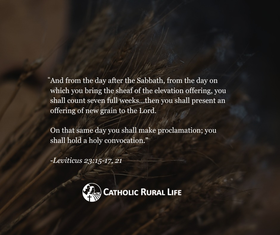 Catholic Rural Life tweet media