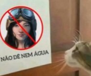 doctor aphra tweet media