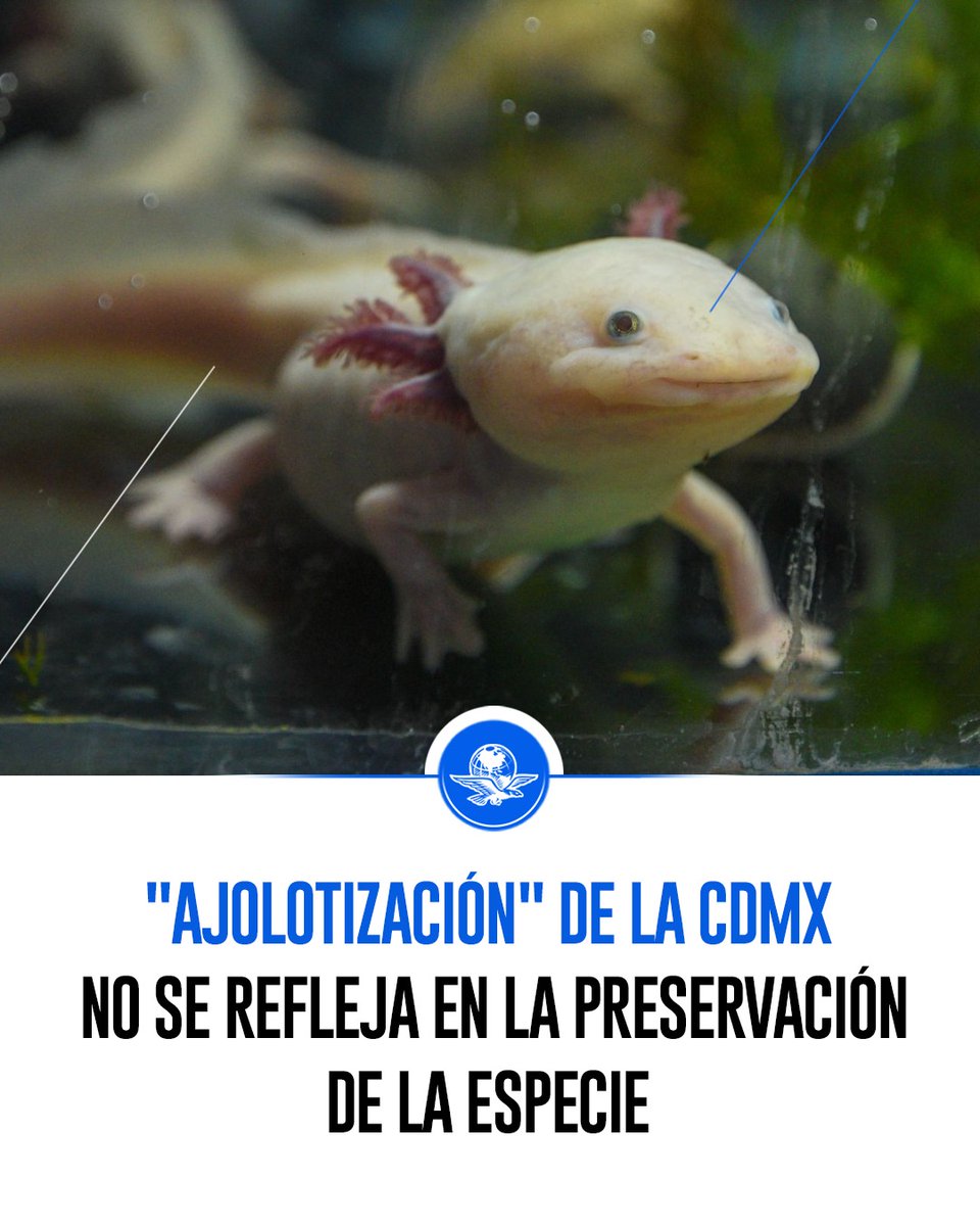 El Universal tweet media
