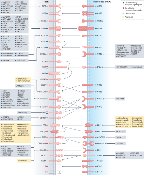 NatureRevCancer's tweet photo. NEW content online! Regulation of immune checkpoint molecules in cancer immune evasion and therapy https://t.co/Akm5jtVmZd https://t.co/PLFSug6kXG