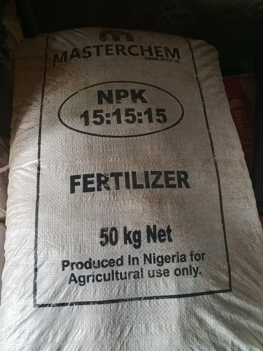 FirstKingEntert's tweet photo. We overdo and abuse this fertilizer stuff in Nigeria, especially among farmers in the southern part of the country.

Fertilizer is gradually becoming another crop on its own in the same field where crops are being grown.

Before the crop can even breathe after transplanting, bags of fertilizer have already landed on the farm.

Honestly, it is understandable if northern farmers are doing all that because of the type of soil common in many parts of the North.

But what is the need for overdoing it in the South?

Most southern soils are already naturally rich with many of the nutrients crops need to grow well. Fertilizer is supposed to support the soil, not completely replace the soil’s natural fertility.

Apply NPK. Two weeks later: Apply Urea. Next: Another booster. Then foliar. Then another enhancer.

For what exactly?

I have personally grown healthy peppers on ordinary virgin soil. I also know a friend growing hybrid tomatoes commercially using mainly poultry manure.

In fact, it was when I travelled to Sokoto that I first saw fertilizers being heavily used on crops apart from maize. In Anambra, that kind of practice is alien to us.

The truth is, the more synthetic fertilizer you continuously introduce into the soil without balance, the more stressed, acidic, and biologically weak the soil gradually becomes over time.

Excess fertilizer does not automatically mean excess yield.

Overfeeding crops can be just as dangerous as underfeeding them.

You begin to see: • Weak root systems
• Excess leaves with poor fruiting
• Soil acidity
• Nutrient imbalance
• Crop burn
• Reduced microbial life in the soil
• More pest and disease problems

I am not sidelining the importance of fertilizers. I even sell fertilizers to farmers myself.

But balance is the goal.

If possible, test your soil before planting so you understand what the land already has and what it truly lacks before adding anything.

Practice proper farm management too: • Good spacing
• Organic manure
• Mulching
• Crop rotation
• Moisture management
• Timely weeding

You will realize that fertilizer is not always the magic key to crop production.

Let us not become fertilizer-dependent, especially on soils that can still naturally produce well on their own.

Place your order 09139986258 WhatsApp for quality fertilizers and other farm inputs.