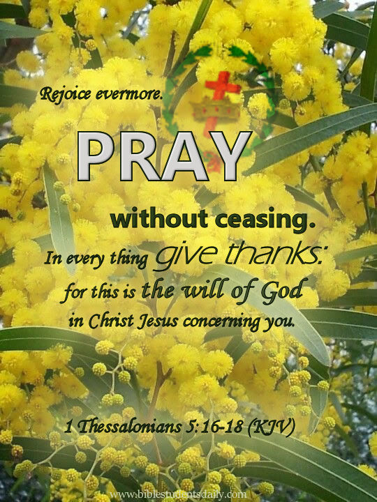 tweetblessings1's tweet photo. Rejoice always, pray without ceasing, in everything give thanks; for this is the will of God in Christ Jesus for you.  1 Thessalonians 5:16-18 https://t.co/QpNnVSECds