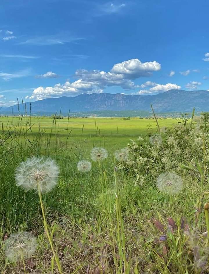 purelivn's tweet photo. beauty of nature https://t.co/3WdfQJrg68