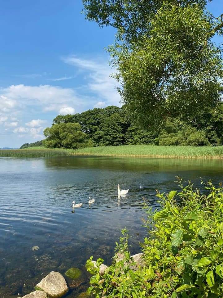 purelivn's tweet photo. beauty of nature https://t.co/3WdfQJrg68