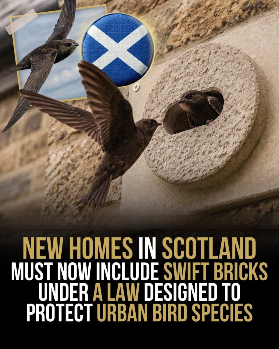 domdyer70's tweet photo. Good news, we need to see the same in England &amp; Wales https://t.co/ODx1i2xxcE
