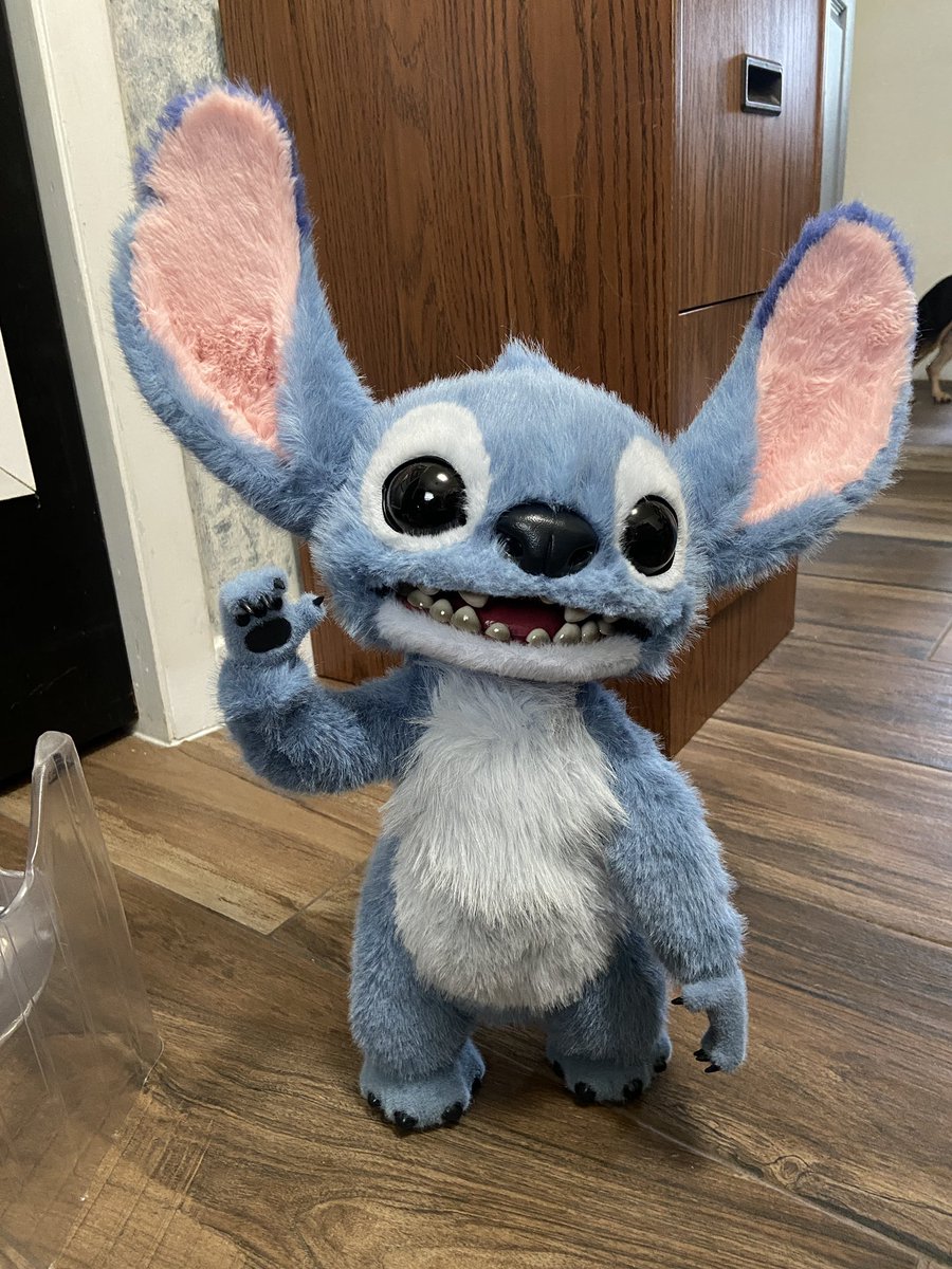 Mallefae's tweet photo. Just got a new dog😂😂😂 https://t.co/bNoy3Vmiu8