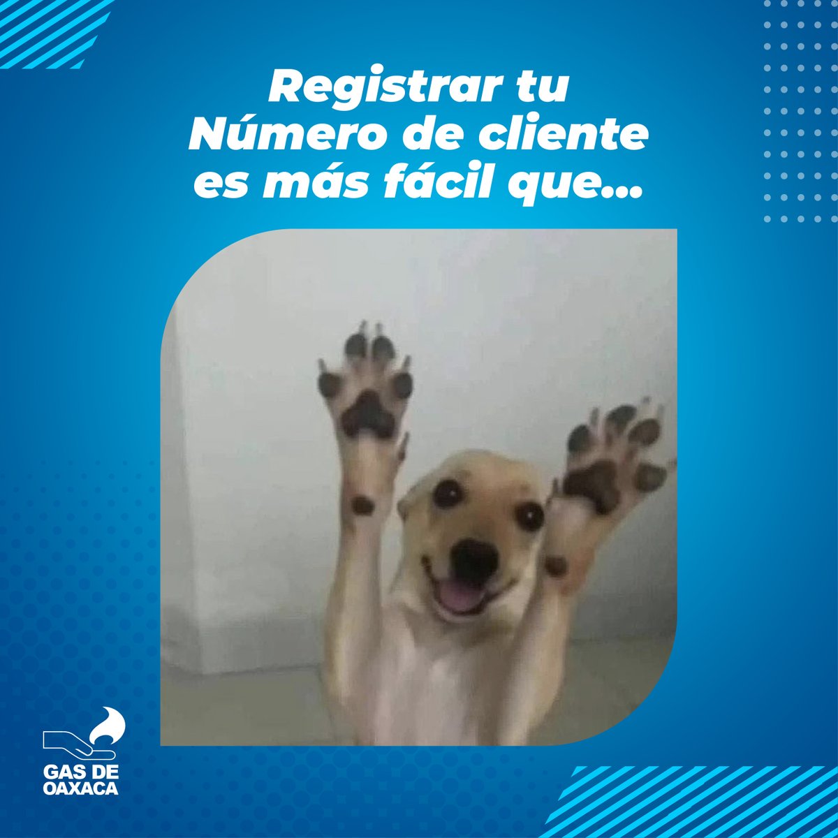 GASDEOAXACA's tweet photo. Hay cosas que son muy fáciles en la vida y pedir tu gas LP es una de ellas. 😌

📲 Tener tu Número de Cliente te ayuda a recibir una atención más rápida y hacer tus pedidos de forma mucho más práctica, sin tantas vueltas.

Regístrate por Call Center:
📞 951 501 66 00
#gasdeoaxaca https://t.co/dlZiqtMuyk
