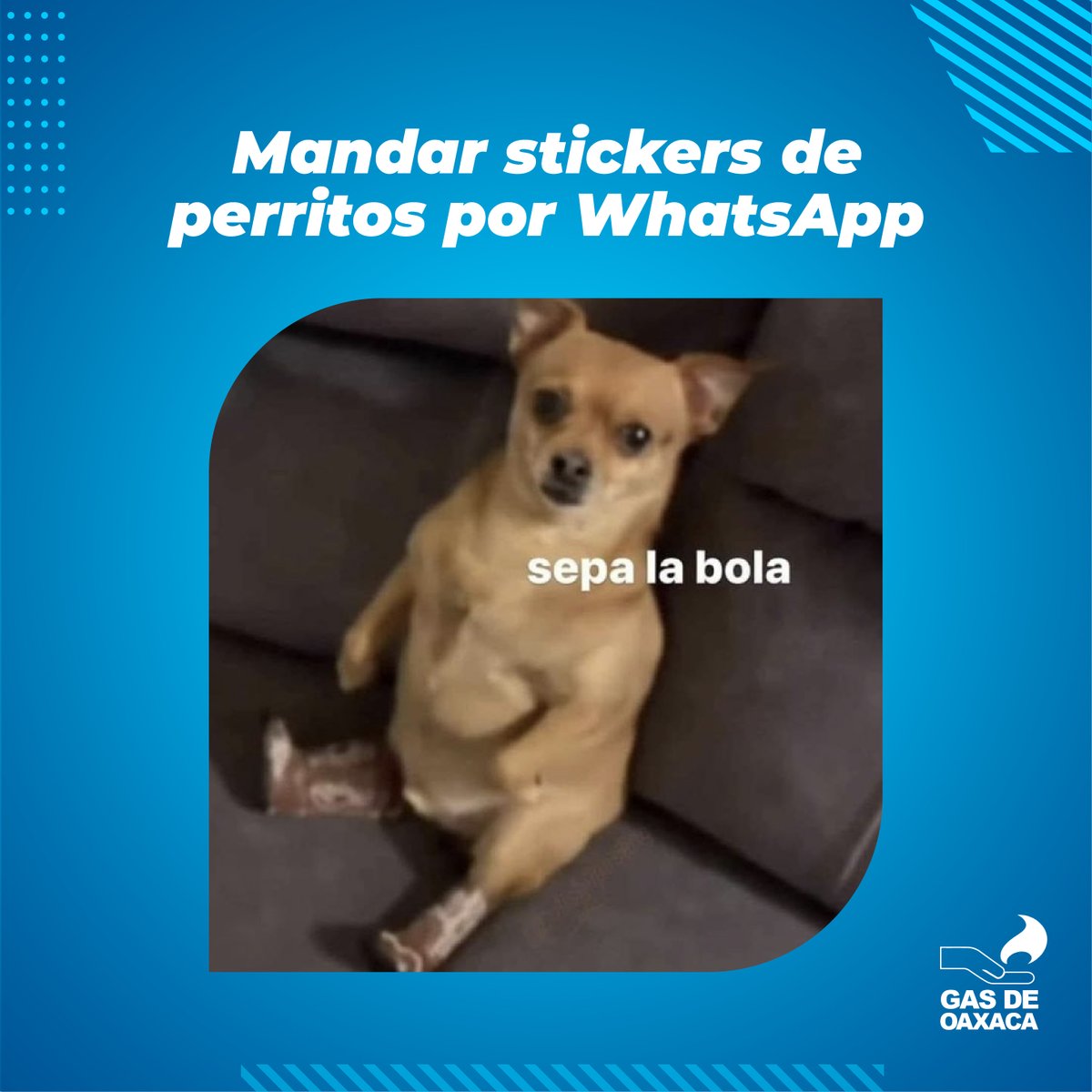 GASDEOAXACA's tweet photo. Hay cosas que son muy fáciles en la vida y pedir tu gas LP es una de ellas. 😌

📲 Tener tu Número de Cliente te ayuda a recibir una atención más rápida y hacer tus pedidos de forma mucho más práctica, sin tantas vueltas.

Regístrate por Call Center:
📞 951 501 66 00
#gasdeoaxaca https://t.co/dlZiqtMuyk