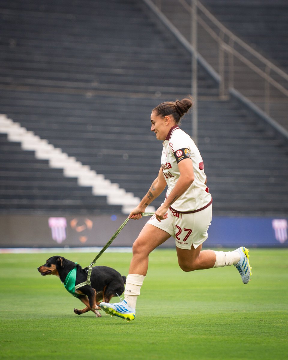 Fútbol Femenino de Universitario tweet media