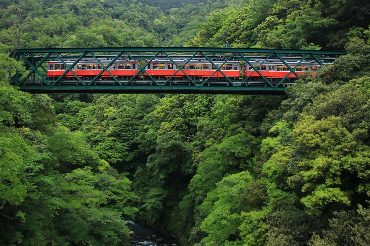 interos2101's tweet photo. 箱根登山鉄道　新緑

何ヶ月ぶりにこの垢開いたんだろ https://t.co/O78NjSQjfD