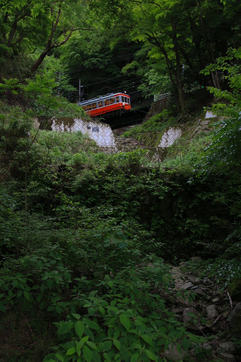 interos2101's tweet photo. 箱根登山鉄道　新緑

何ヶ月ぶりにこの垢開いたんだろ https://t.co/O78NjSQjfD