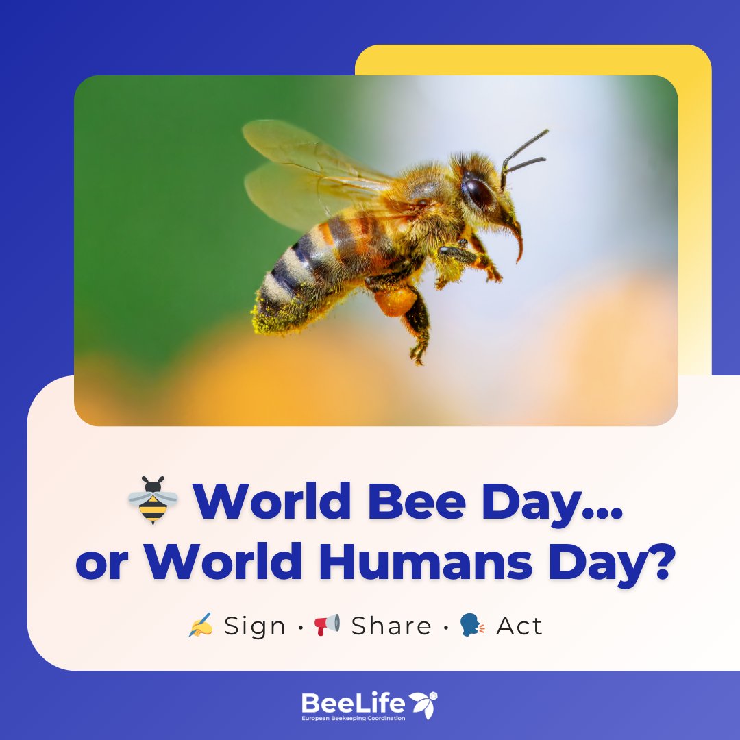 BeeLifeEU's tweet photo. World Bee Day = Biodiversity Day = Health Day = Environment Day. 🐝
Weak rules on pesticides + opaque GMO systems = risk for all.
Pollinators can’t wait. Neither can we.

👉 Take action. https://t.co/A6ONDZWwoL

#BeeLife #WorldBeeDay #Pollinators #ActNow https://t.co/OPIfraza60