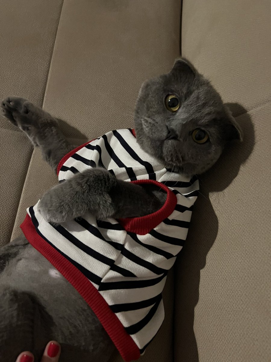 lvysuu's tweet photo. pijamamizi giydik uyucaz 🐈‍⬛ https://t.co/jJY2XExBX8