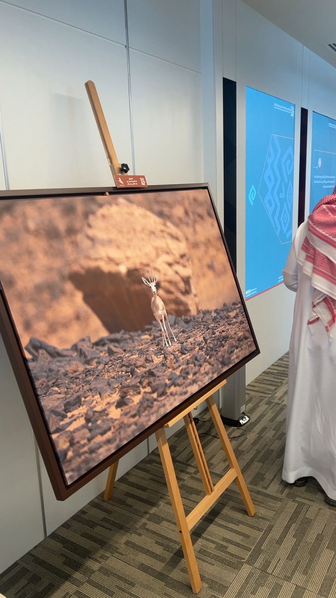 جمعية بيئتنا خضراء tweet media