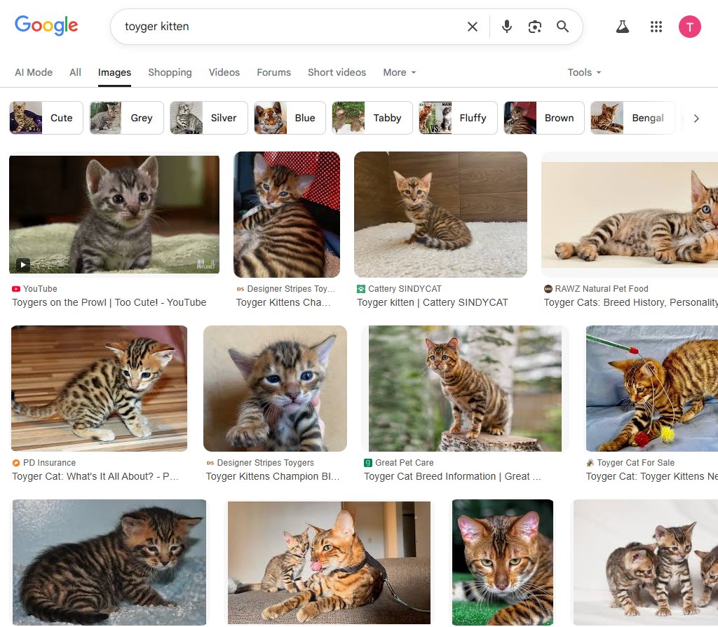 Cameron4Lz's tweet photo. Tygr is full larp. But the kitten breed is called the Toyger Kitten. Which actually makes sense why Roaring Kitty uses ROARING, because Tigers roar. 

If you look up toyger kitten online they all have captions with ROARING, I'm almost positive that is where roaring kitty got inspiration for his name

Instead of Roaring Toyger he put Roaring Kitty, this is actually INSANE

PLEASE LOOK THIS IS ACTUALLY INSANE, This all makes sense now why he put ROARING in his name. Because Tigers Roar.

https://t.co/gGqiIKbSCJ