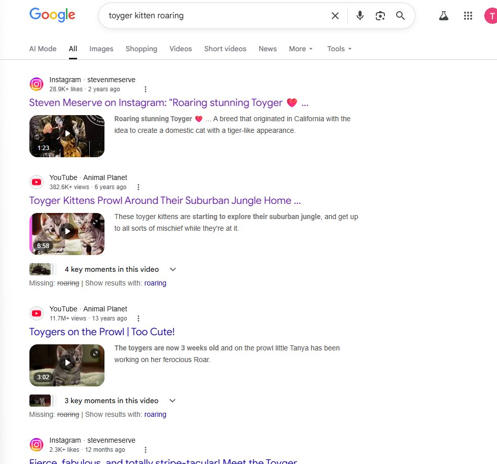 Cameron4Lz's tweet photo. Tygr is full larp. But the kitten breed is called the Toyger Kitten. Which actually makes sense why Roaring Kitty uses ROARING, because Tigers roar. 

If you look up toyger kitten online they all have captions with ROARING, I'm almost positive that is where roaring kitty got inspiration for his name

Instead of Roaring Toyger he put Roaring Kitty, this is actually INSANE

PLEASE LOOK THIS IS ACTUALLY INSANE, This all makes sense now why he put ROARING in his name. Because Tigers Roar.

https://t.co/gGqiIKbSCJ