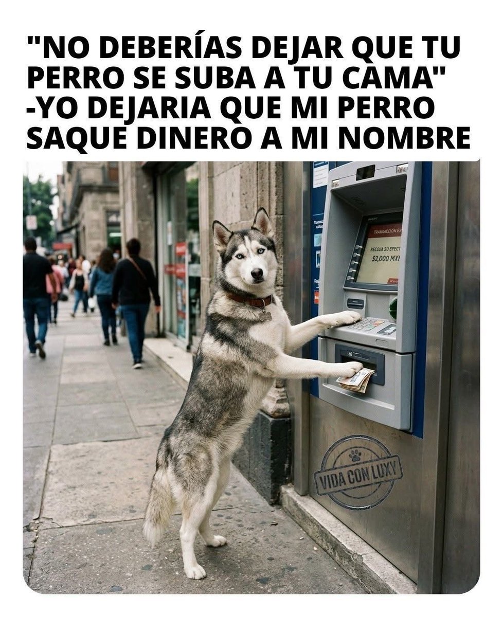 edanielon's tweet photo. A huevo que si 🤩 https://t.co/D3A1qIk10K