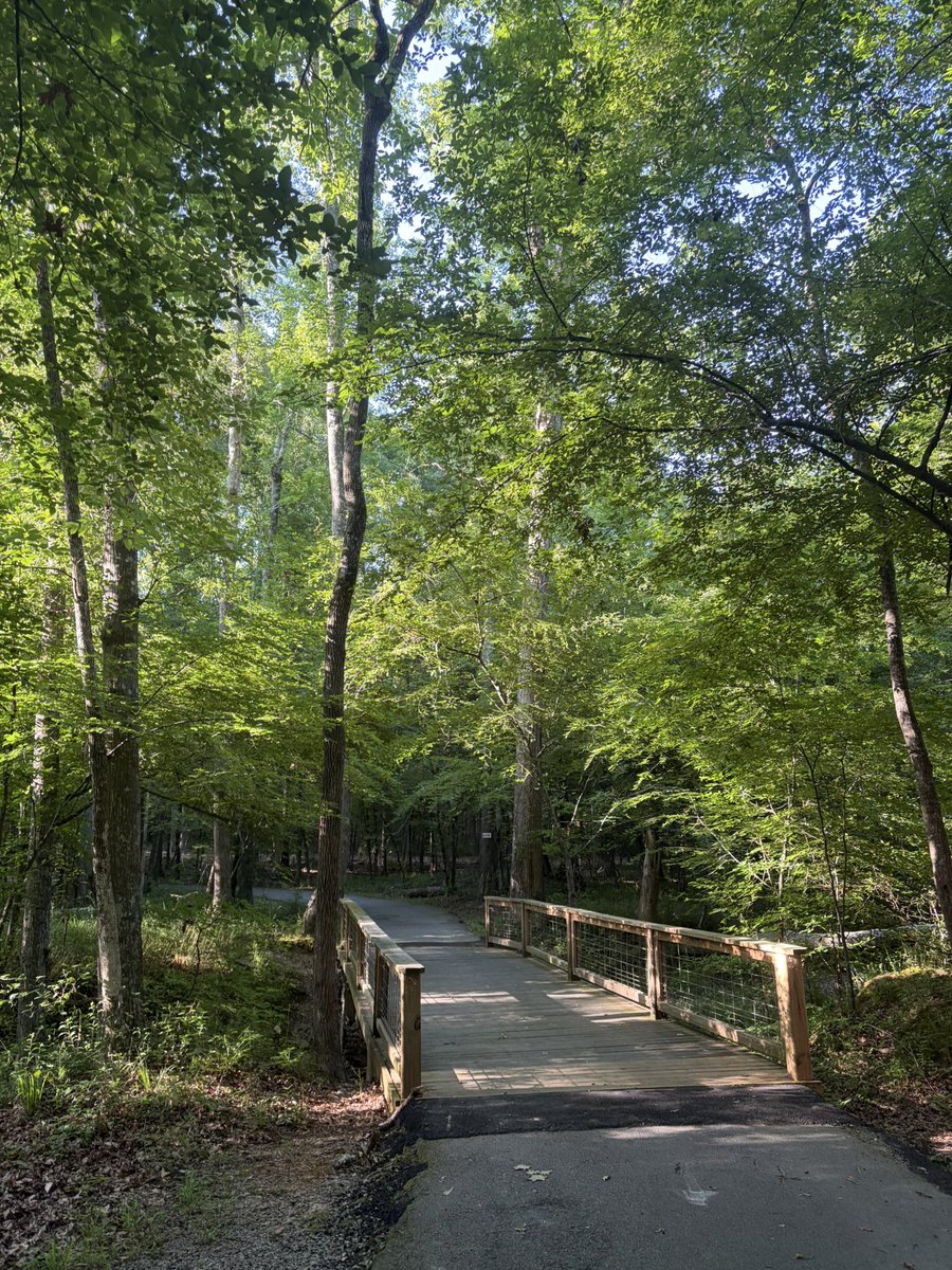 RobertNikos's tweet photo. I love church sanctuaries but I also love nature sanctuaries. 🙏 https://t.co/OLgE1hEHq0