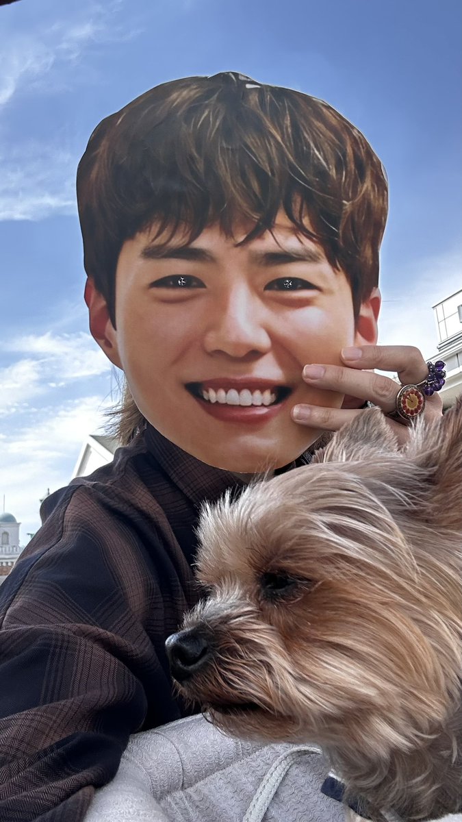 SHIHO_BOGUM's tweet photo. 最近の面活🙈✨ひっそりやっているよんよん
 #面活 #面活ぼごむっち #박보검 https://t.co/Yxx0okmg2u