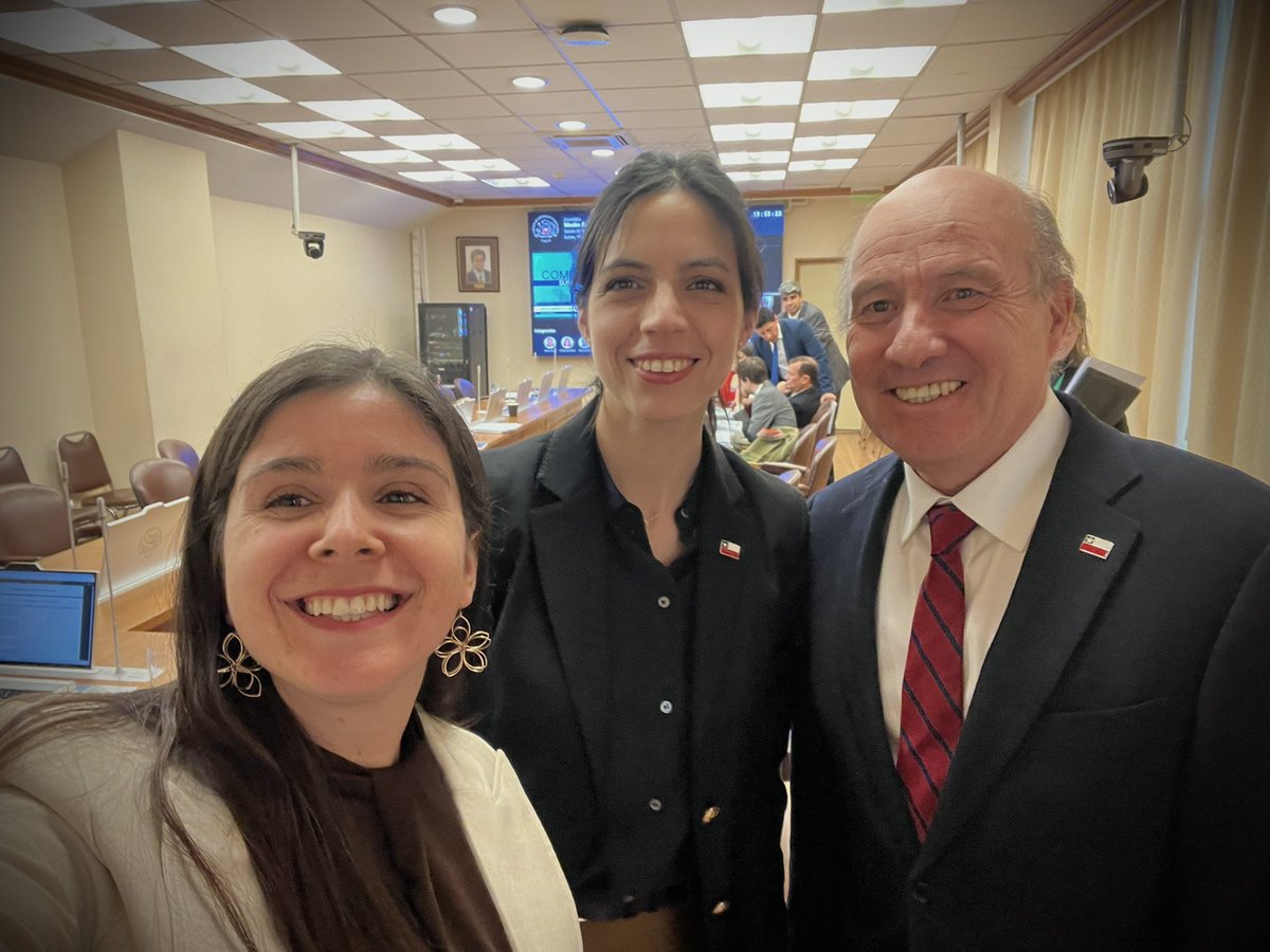 Diputada Chiara Barchiesi 🇨🇱 tweet media
