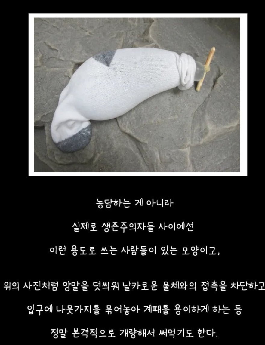 노상강도 tweet media
