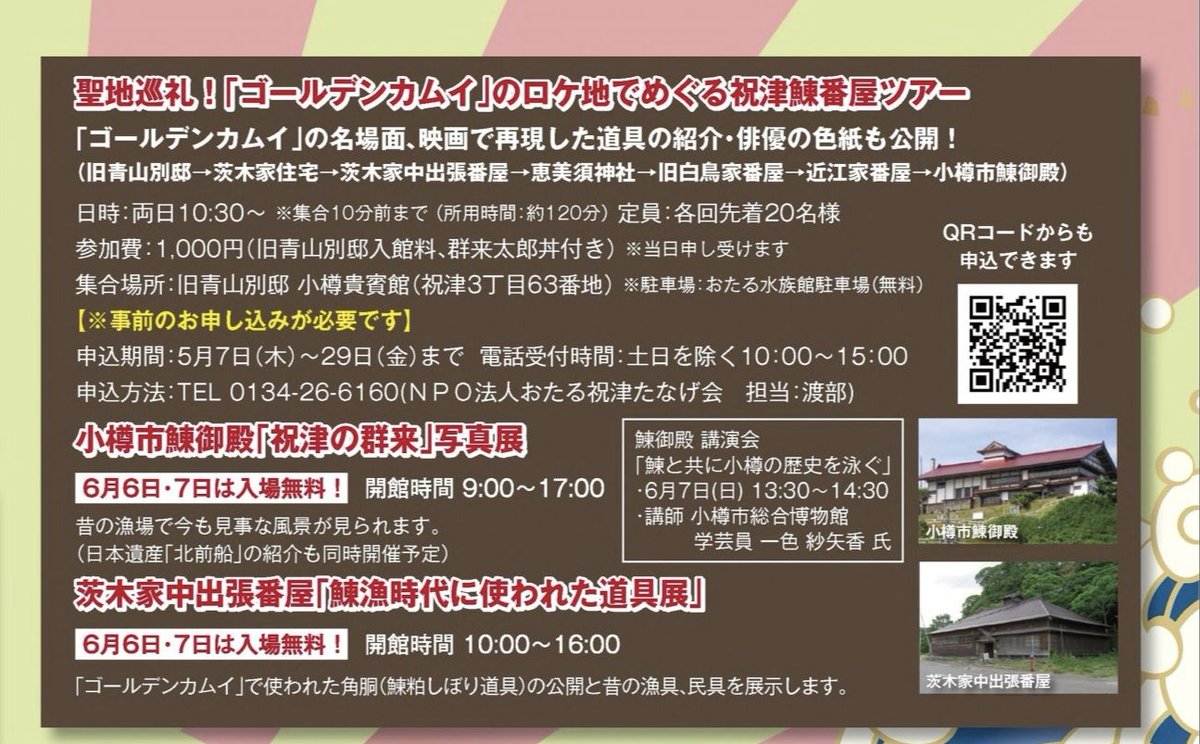 小樽アオバト情報局 tweet media