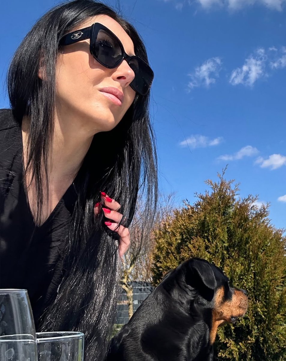 Melissa Canine Curator🐶❤️ tweet media