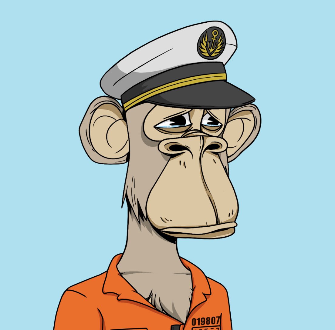jeremy 🟦🟥 🦍 tweet media