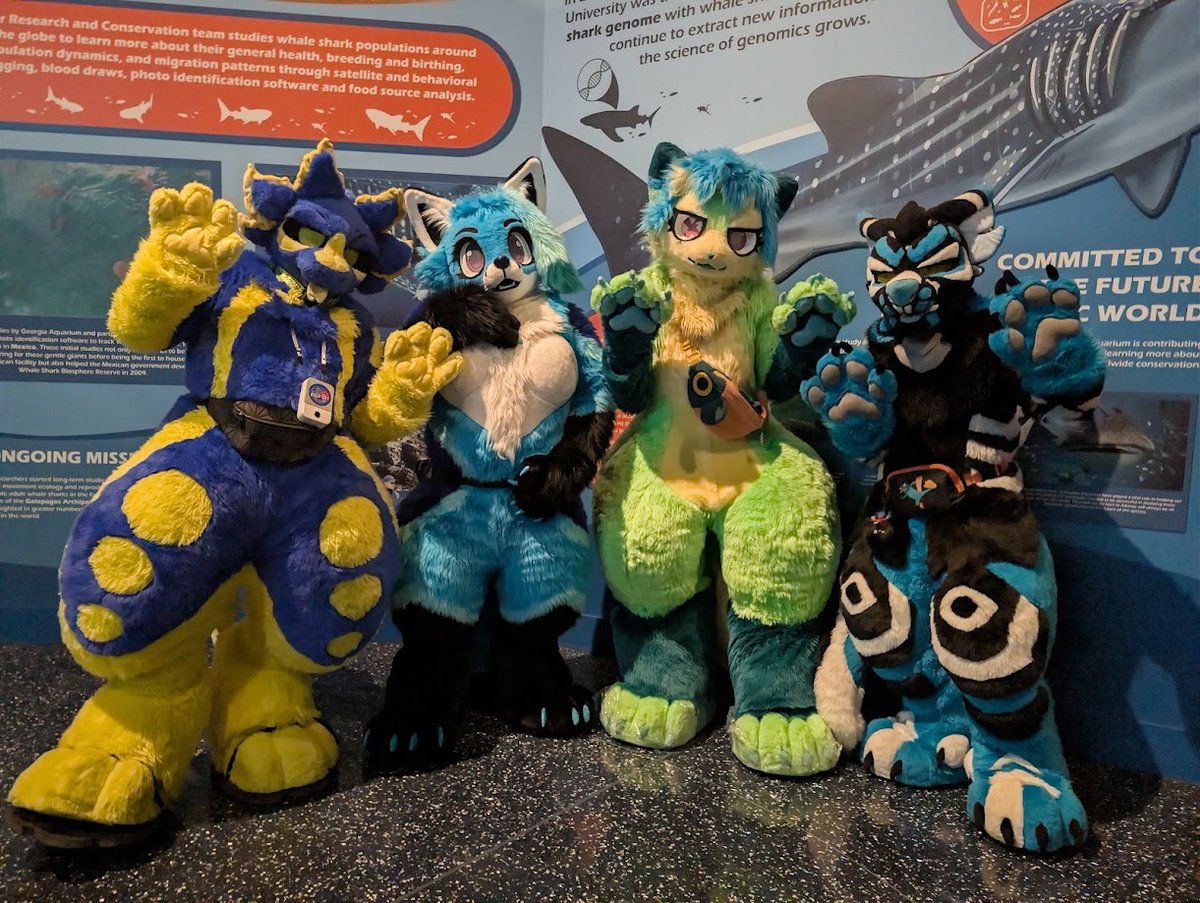 rynnesis's tweet photo. Goodbye FWA!! This was a really good con this time around! I got to hang out with my pals and meet new friends along the road! Can't wait till next year!!

I know I'm late on this but better late than never right?? 
#FWA #FWA2026 #Furryweekendatlanta https://t.co/6hREDoqct4