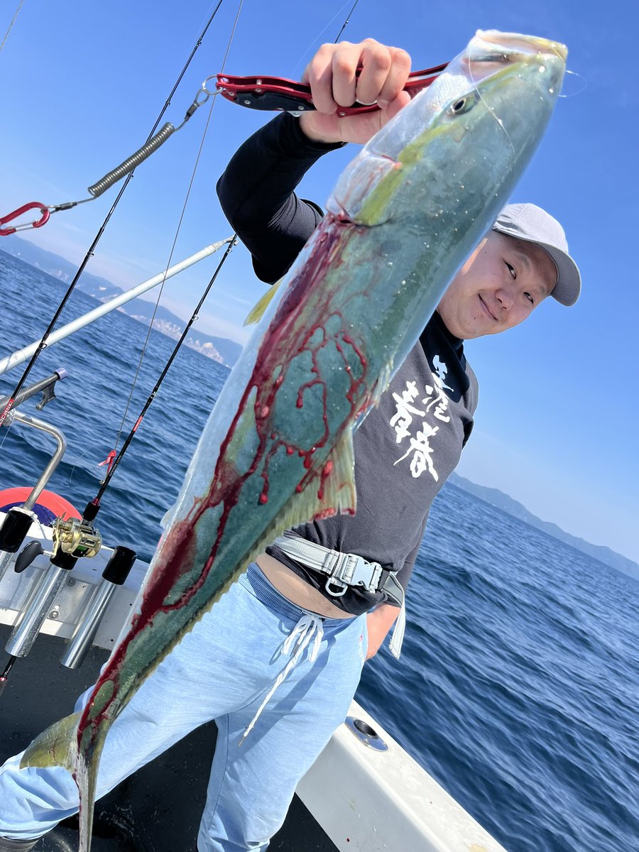 5/18午後便釣果‼️ ブリ、ワラサは数釣れましたが 写真サイズの鯛は
