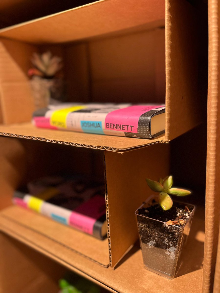 harriettsbooks's tweet photo. The art of bookselling… 

https://t.co/PD8a5BlYkl https://t.co/CPLSSh0a5s