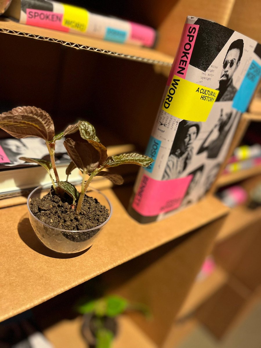 harriettsbooks's tweet photo. The art of bookselling… 

https://t.co/PD8a5BlYkl https://t.co/CPLSSh0a5s