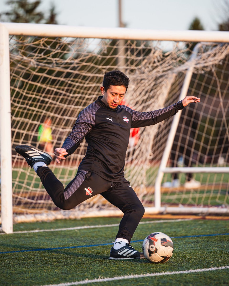 Toronto High Park FC tweet media