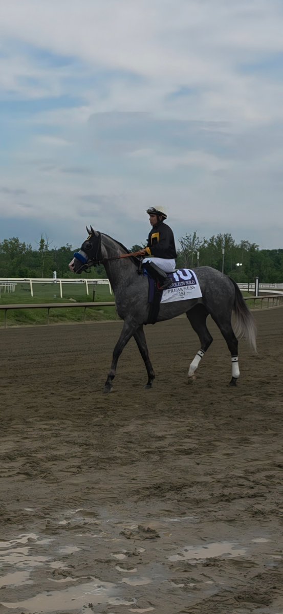 Horse Racing Today tweet media