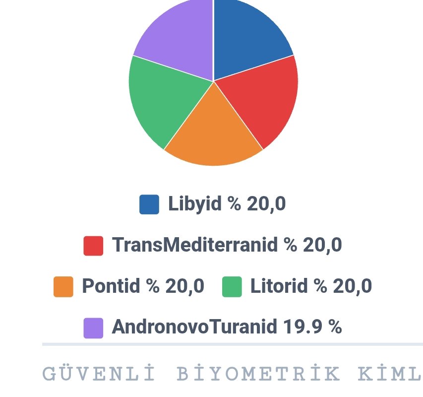 antoniblock's tweet photo. @UgurIlgin1 Atıyo ya bi tanesi ile alakamız yok. Bu işlere bakan birine yaptırdık alpinid+dinarid demişti https://t.co/K2cpphVAyG