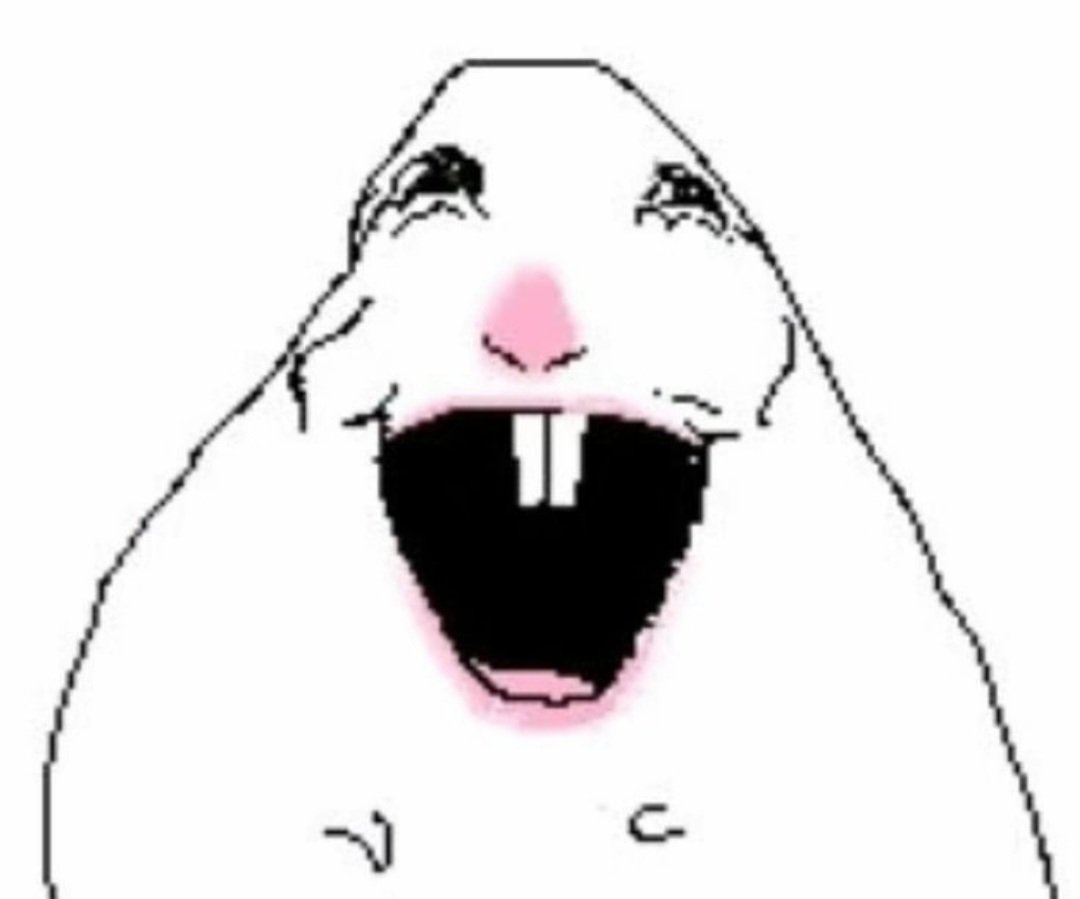 แ
*ฬ โฏแ
๐บแตฬณแดผฬณแดฟฬณแดฐฬณ แ
๐บ๐๐๐๐ tweet media